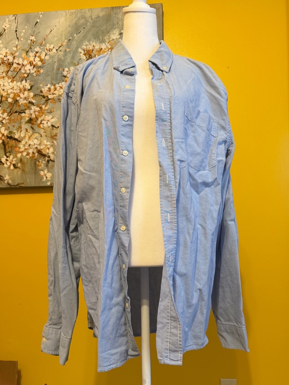 GAP Light Blue Button-Front Shirt